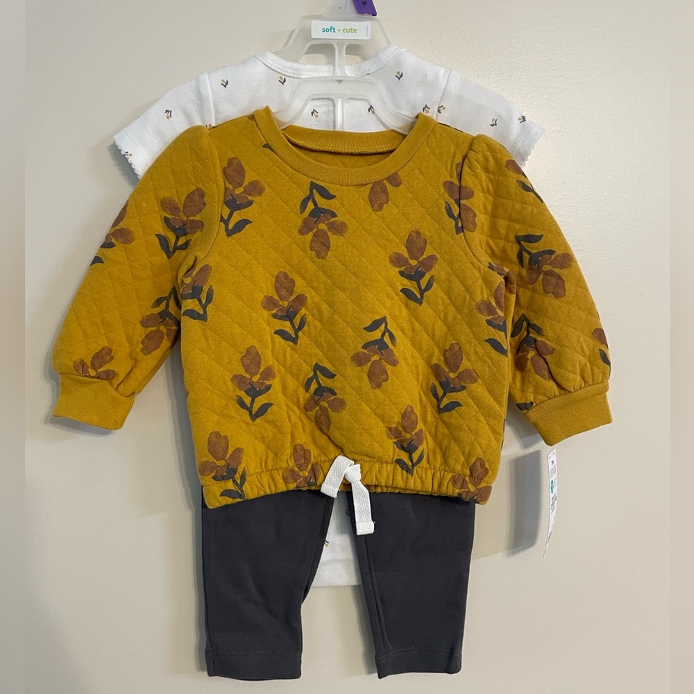 Carter baby girl set